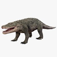 Extinct Mekosuchinae Quinkana