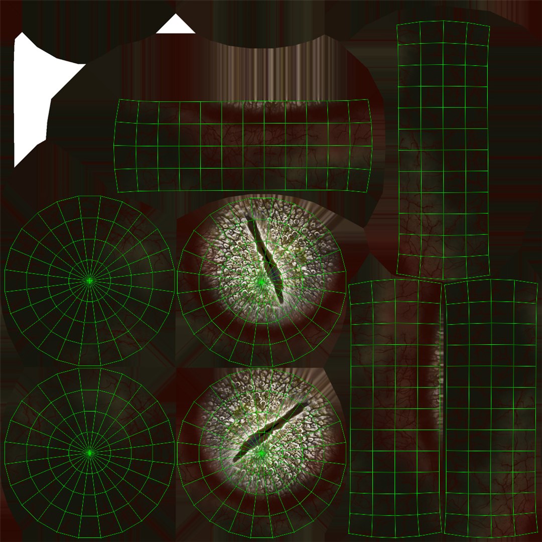 Extinct Mekosuchinae Quinkana 3D https://p.turbosquid.com/ts-thumb/s4/tva0Y1/r9/uveyescopy/jpg/1734858519/1920x1080/fit_q87/b304f8a4bc1a9f4bf9109862d4aabaee9a59ca22/uveyescopy.jpg