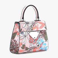 Coccinelle bag