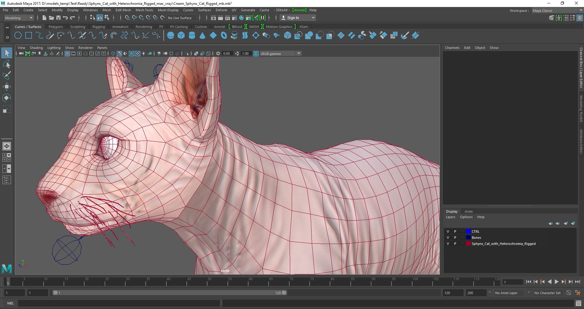 3D cream sphynx cat rigged https://p.turbosquid.com/ts-thumb/s4/xrR2mU/80MHGExp/cream_sphynx_cat_rigged_mb_03/jpg/1606725478/1920x1080/fit_q87/76ea9e183e48291280d8a9f4249c4a45956237f3/cream_sphynx_cat_rigged_mb_03.jpg