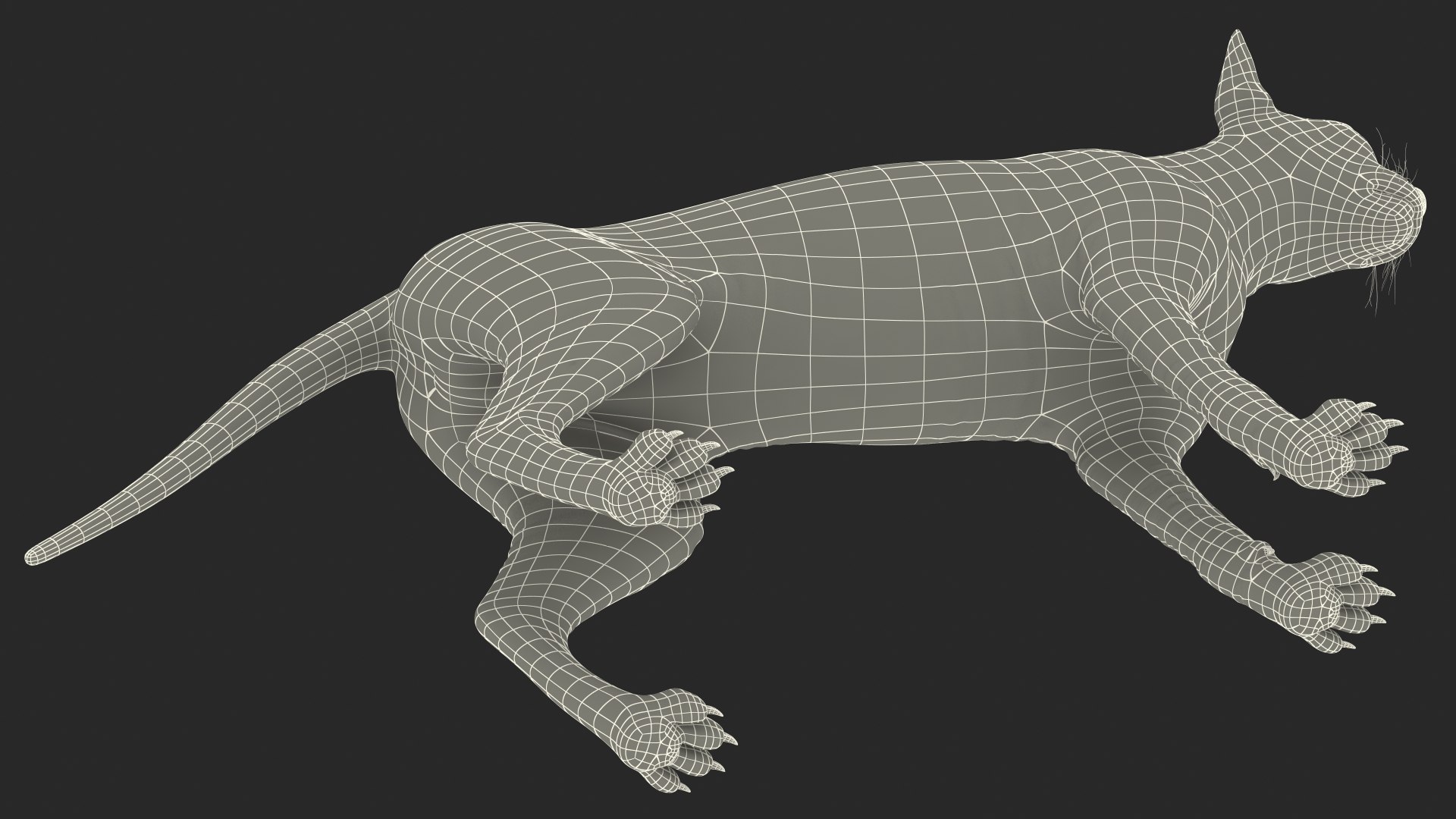 3D cream sphynx cat rigged https://p.turbosquid.com/ts-thumb/s4/xrR2mU/CR805gV7/creamsphynxcatriggedvray3dmodel031/jpg/1606342524/1920x1080/fit_q87/d075355fca312b477a79be055a9c0a50c064d8df/creamsphynxcatriggedvray3dmodel031.jpg