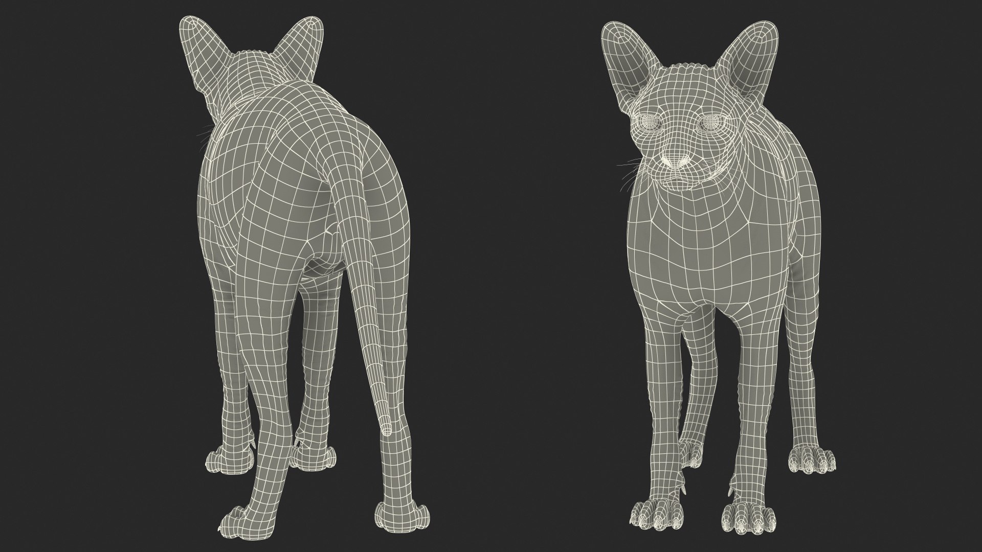 3D cream sphynx cat rigged https://p.turbosquid.com/ts-thumb/s4/xrR2mU/PNPnuYnc/creamsphynxcatriggedvray3dmodel029/jpg/1606342499/1920x1080/fit_q87/540daa1e7207ae02e4e6a1003be2ab9cba6b7cbe/creamsphynxcatriggedvray3dmodel029.jpg