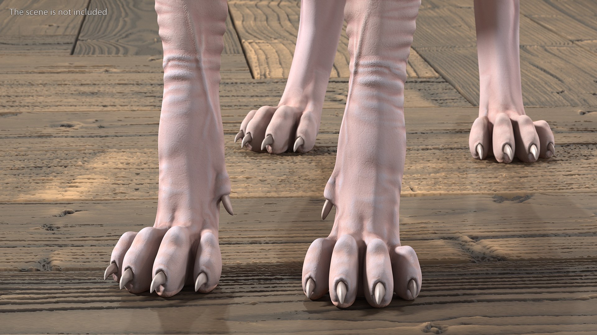 3D cream sphynx cat rigged https://p.turbosquid.com/ts-thumb/s4/xrR2mU/QT1CQPwW/creamsphynxcatriggedvray3dmodel012/jpg/1606342296/1920x1080/fit_q87/8c4438c911151aba32f09da909bf0ee0d22cacf3/creamsphynxcatriggedvray3dmodel012.jpg