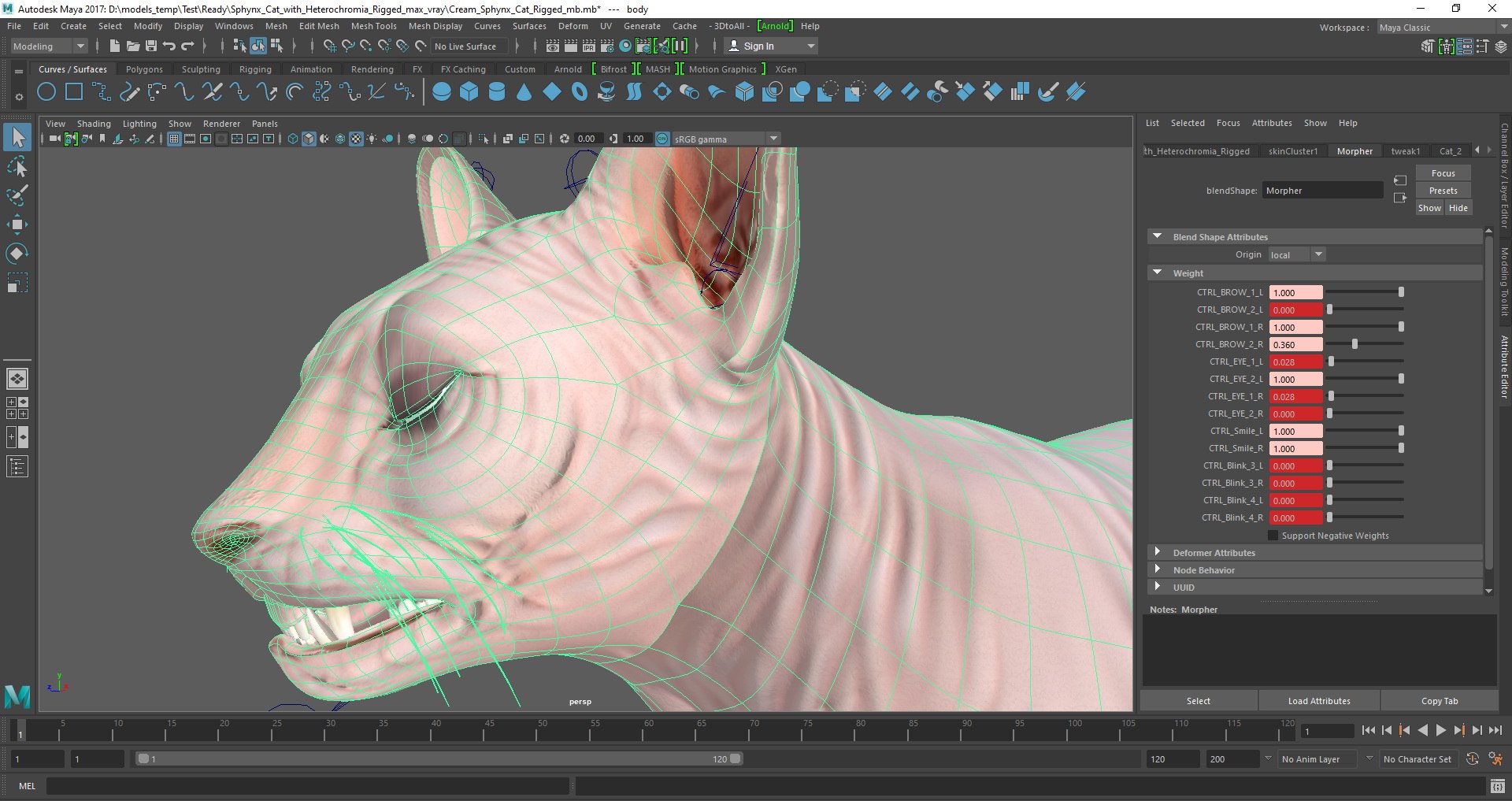 3D cream sphynx cat rigged https://p.turbosquid.com/ts-thumb/s4/xrR2mU/VGV21wQ2/cream_sphynx_cat_rigged_mb_05/jpg/1606725484/1920x1080/fit_q87/ba2df531d16a1a31a77fd02506fed0fafa8e2702/cream_sphynx_cat_rigged_mb_05.jpg