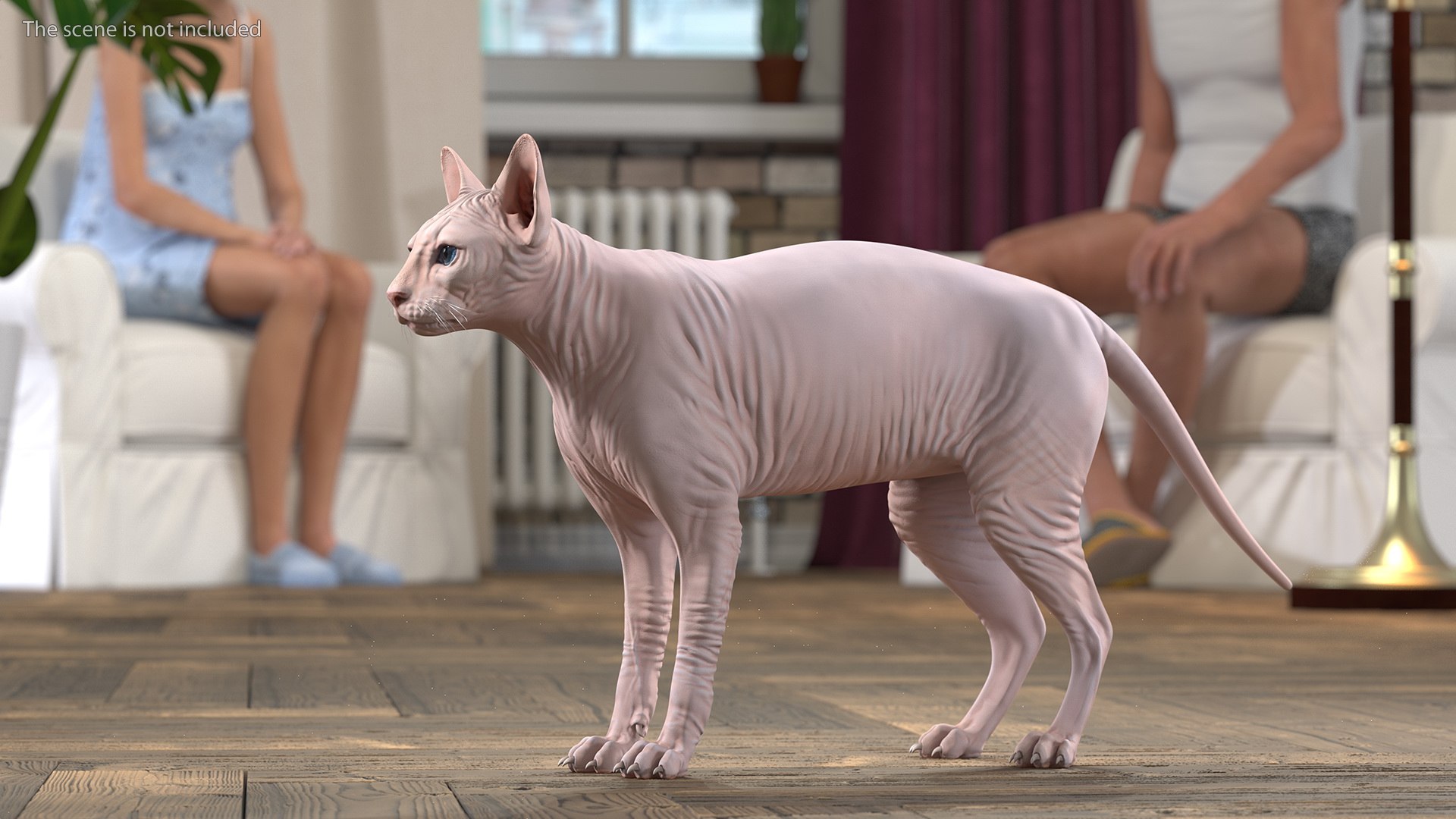 3D cream sphynx cat rigged https://p.turbosquid.com/ts-thumb/s4/xrR2mU/krGqpvaB/creamsphynxcatriggedvray3dmodel004/jpg/1606342199/1920x1080/fit_q87/b4824b50dca5d5914b7cb97b8788ab785d7e4d63/creamsphynxcatriggedvray3dmodel004.jpg