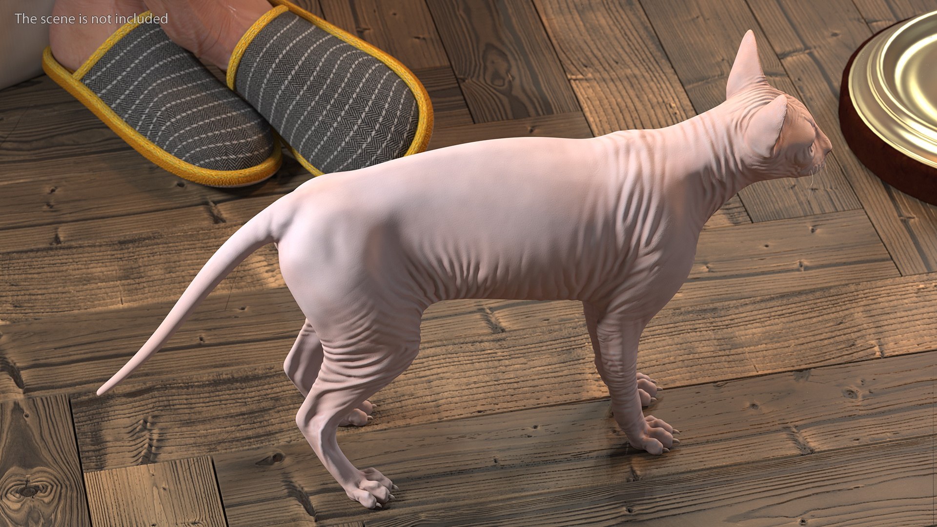 3D cream sphynx cat rigged https://p.turbosquid.com/ts-thumb/s4/xrR2mU/mCJtSV4Z/creamsphynxcatriggedvray3dmodel007/jpg/1606342236/1920x1080/fit_q87/9fe3605bb9544d0f15dd671bbbf0bc2cf19a9741/creamsphynxcatriggedvray3dmodel007.jpg