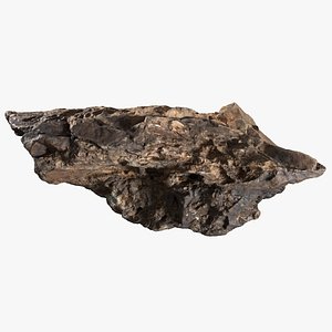 Essential 3D Scanned Rock 25 3D model