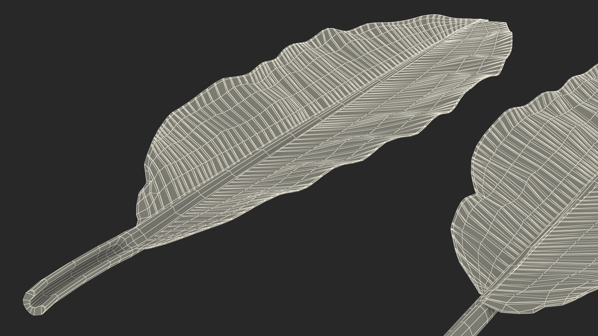 leaves banana tree 3D https://p.turbosquid.com/ts-thumb/s5/4hNGkH/0E0a2Yor/leavesfrombananatree3dmodel021/jpg/1591441431/1920x1080/fit_q87/658e935d0ff4bf697615f0a852495cf2999ba1d4/leavesfrombananatree3dmodel021.jpg