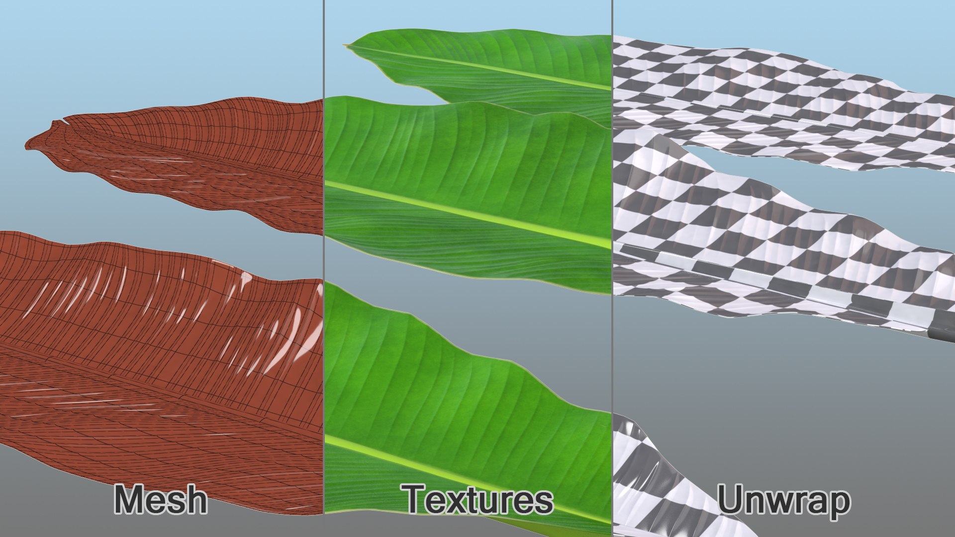 leaves banana tree 3D https://p.turbosquid.com/ts-thumb/s5/4hNGkH/BCTd31cq/leavesfrombananatree3dmodel010/jpg/1591441327/1920x1080/fit_q87/81c4a329a37938892b54c2474db420f59b06ec96/leavesfrombananatree3dmodel010.jpg