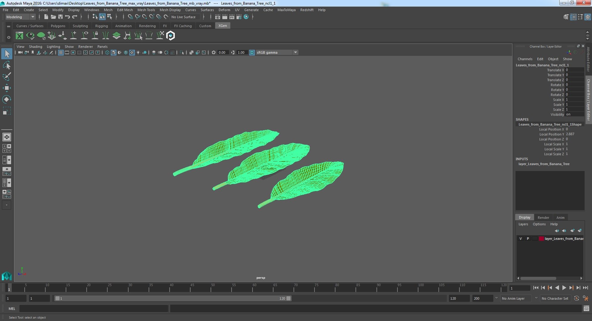 leaves banana tree 3D https://p.turbosquid.com/ts-thumb/s5/4hNGkH/EFSw2mep/leavesfrombananatree3dmodel018/jpg/1591441405/1920x1080/fit_q87/b98c8c01340c5a4e77393808b42ead712a66b004/leavesfrombananatree3dmodel018.jpg