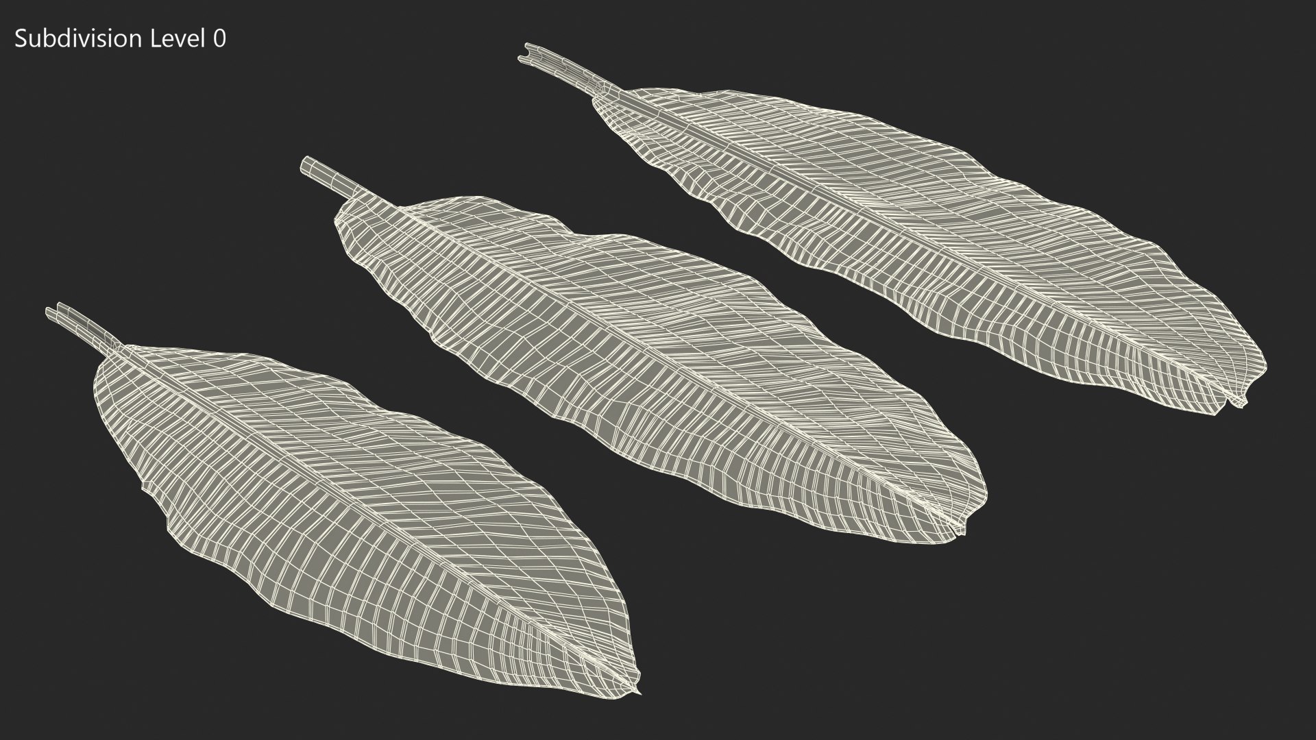 leaves banana tree 3D https://p.turbosquid.com/ts-thumb/s5/4hNGkH/HL9Bc6F5/leavesfrombananatree3dmodel011/jpg/1591441336/1920x1080/fit_q87/e5d21d6062c579df0e06af435ff987ab1aa7ec71/leavesfrombananatree3dmodel011.jpg