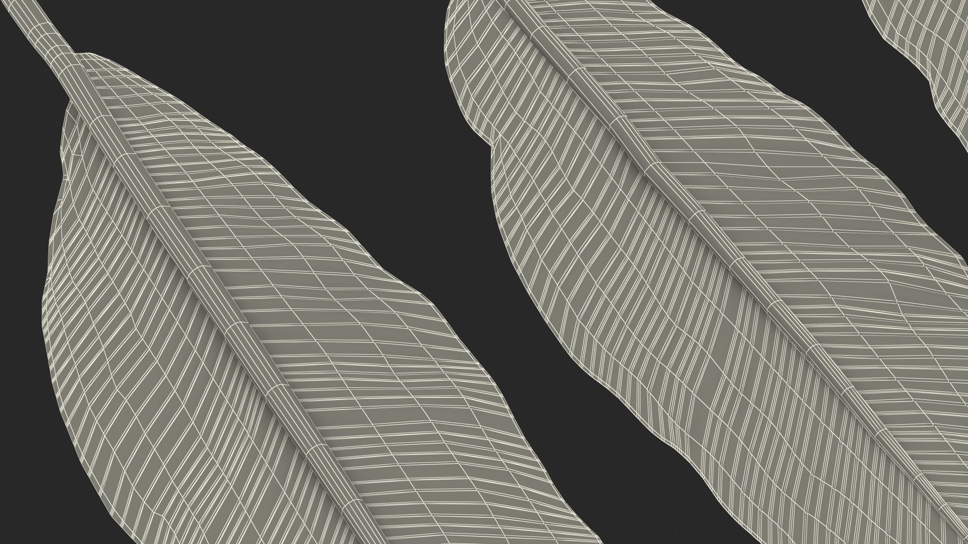 leaves banana tree 3D https://p.turbosquid.com/ts-thumb/s5/4hNGkH/RUNYBbEx/leavesfrombananatree3dmodel025/jpg/1591441467/1920x1080/fit_q87/6d7bfee241d78ae67782349b55a83c46a545b194/leavesfrombananatree3dmodel025.jpg