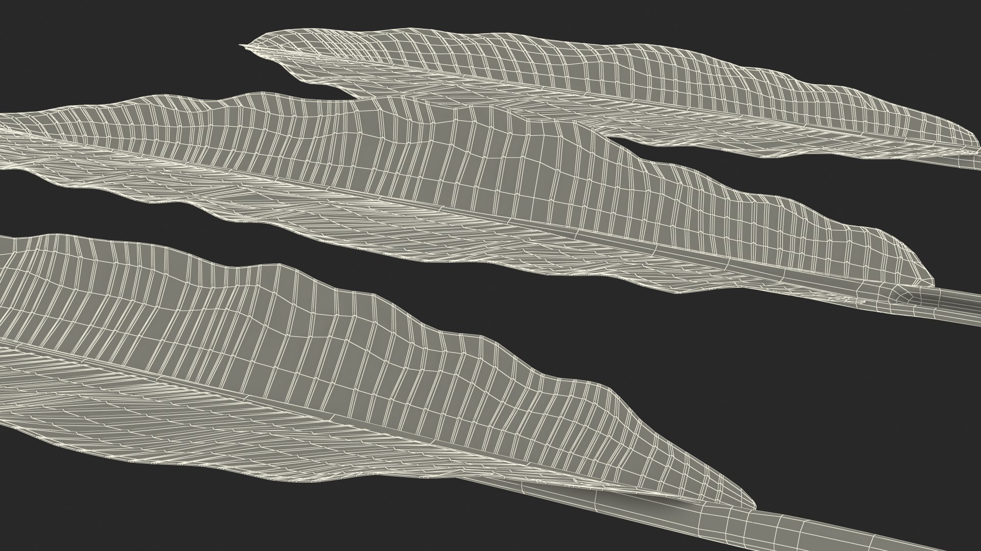 leaves banana tree 3D https://p.turbosquid.com/ts-thumb/s5/4hNGkH/aQzhI6Ou/leavesfrombananatree3dmodel024/jpg/1591441458/1920x1080/fit_q87/95e0180218357a2233d6461acaf79720f878c66e/leavesfrombananatree3dmodel024.jpg