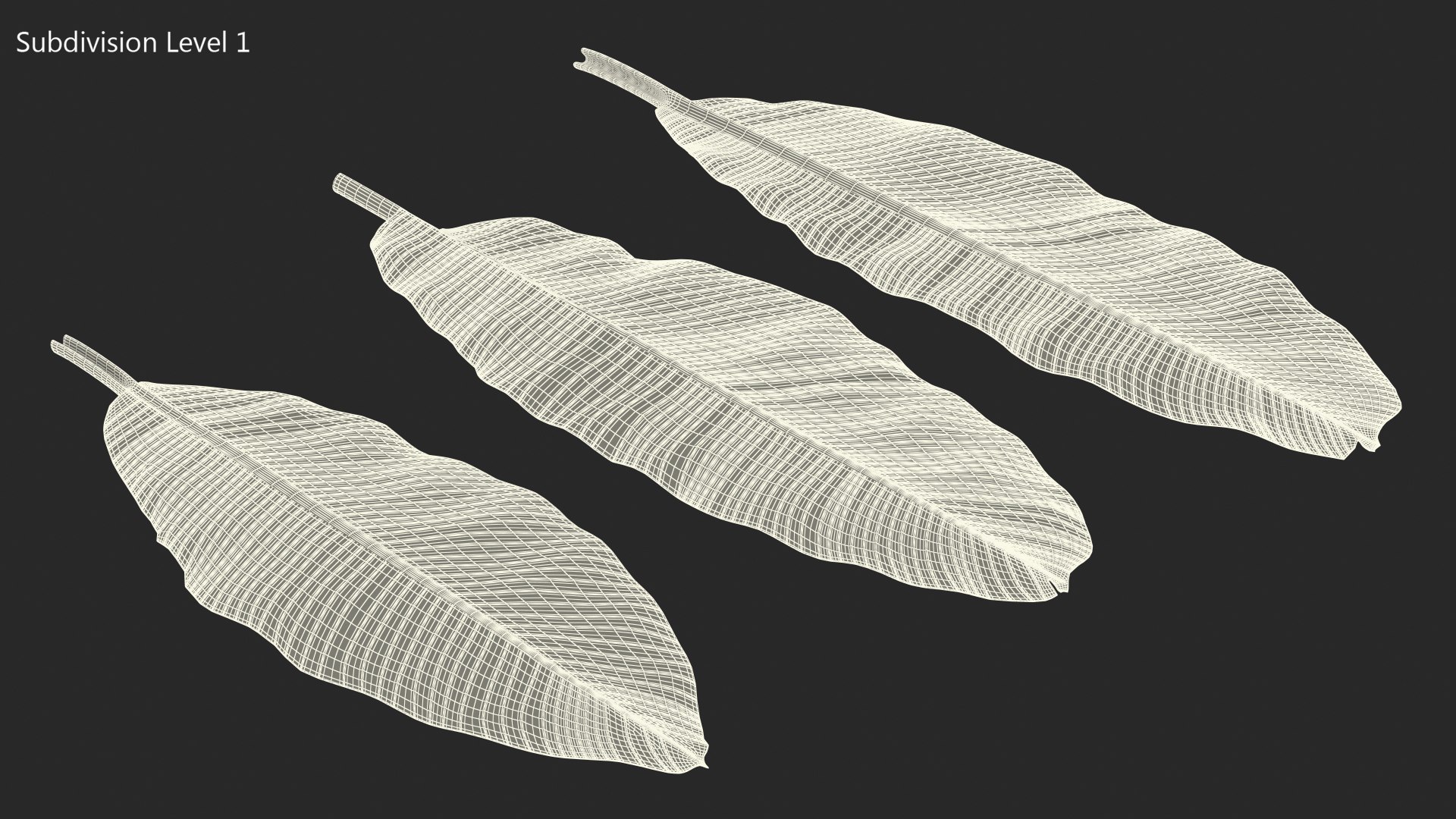 leaves banana tree 3D https://p.turbosquid.com/ts-thumb/s5/4hNGkH/qcmX5ue6/leavesfrombananatree3dmodel012/jpg/1591441346/1920x1080/fit_q87/c81dc5c680549af23dc0ccba61c5bf81ce995f50/leavesfrombananatree3dmodel012.jpg