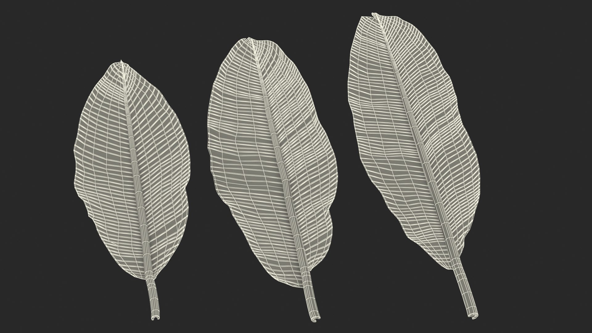leaves banana tree 3D https://p.turbosquid.com/ts-thumb/s5/4hNGkH/xRJvIIXA/leavesfrombananatree3dmodel023/jpg/1591441449/1920x1080/fit_q87/fdcdf81a620a2868596327c6261bf8c7ebabc346/leavesfrombananatree3dmodel023.jpg