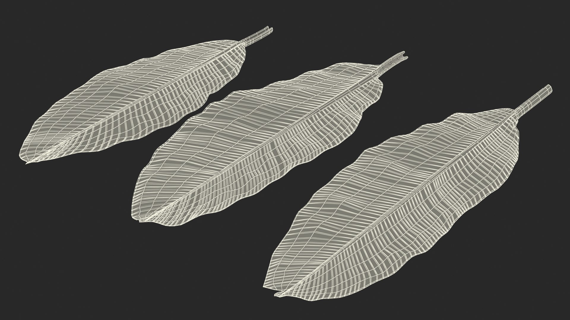 leaves banana tree 3D https://p.turbosquid.com/ts-thumb/s5/4hNGkH/yhW0Uu4M/leavesfrombananatree3dmodel020/jpg/1591441422/1920x1080/fit_q87/bccf40c6f8aa26f507166b553e78962becaf024d/leavesfrombananatree3dmodel020.jpg