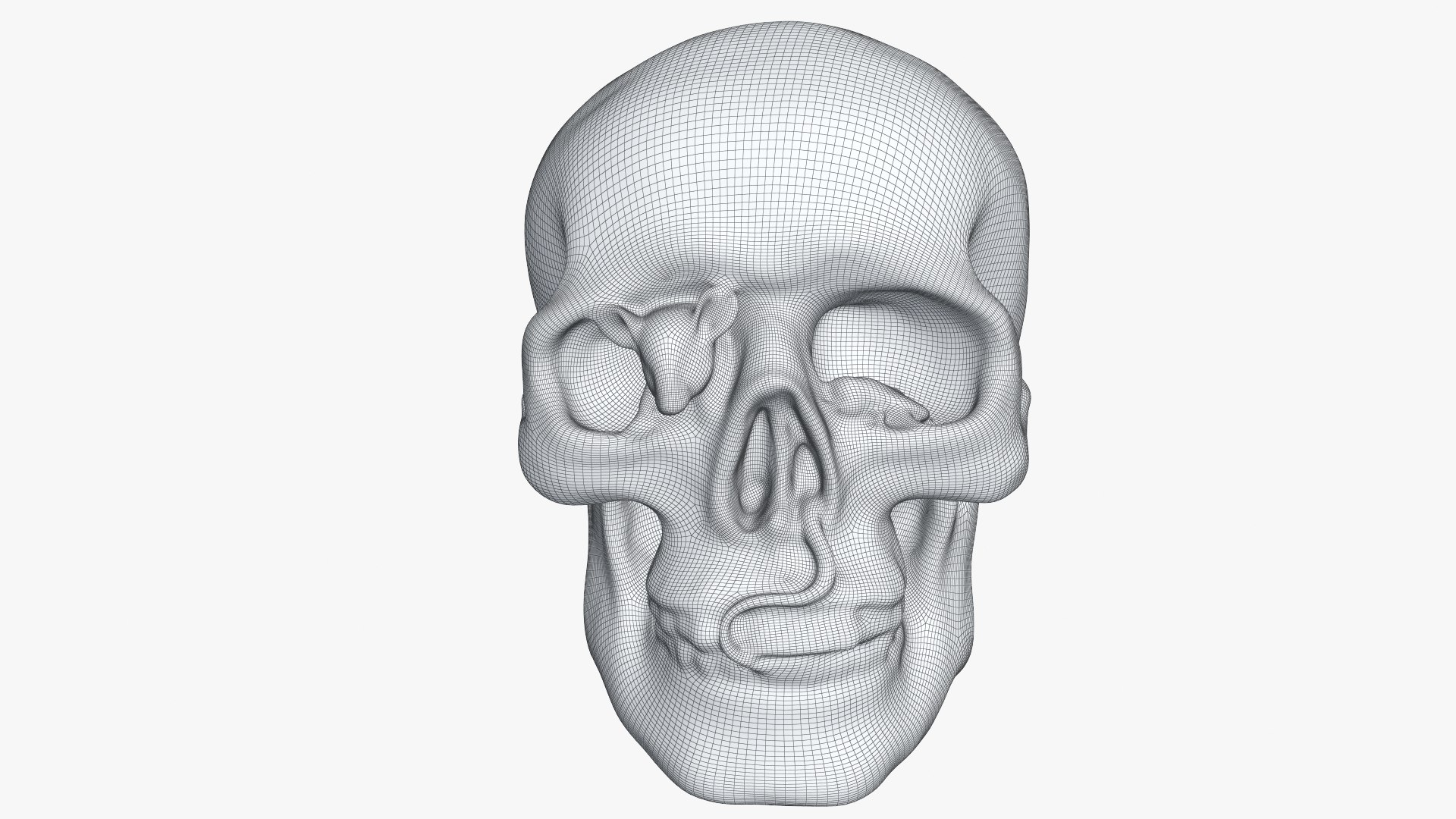 skull moneybox max https://p.turbosquid.com/ts-thumb/s5/BRJXTK/5UkggcaD/2_wire_skullmoneybox_camera003_sds1_001/jpg/1573724166/1920x1080/fit_q87/497bf278c949b8d45405f8e3a97bdc50389684e0/2_wire_skullmoneybox_camera003_sds1_001.jpg