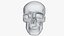 Skull Moneybox
