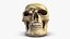 Skull Moneybox