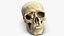 Skull Moneybox