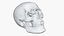 Skull Moneybox