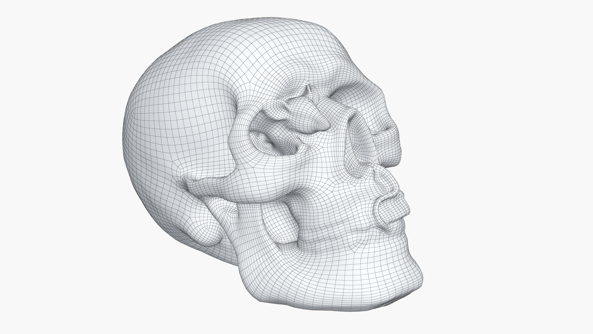 skull moneybox max https://p.turbosquid.com/ts-thumb/s5/BRJXTK/zxcca5Mv/skullmoneybox/jpg/1573724755/1920x1080/turn_fit_q99/f0324442e0cbb8425e2299ddfaf2f600ecacc865/skullmoneybox-1.jpg