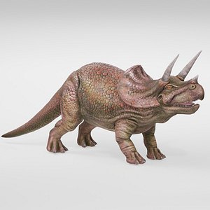 Prehistoric Triceratops Realistic Dinosaur 3D