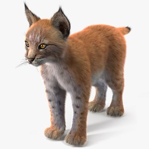 Lynx Cub Fur for Cinema 4D