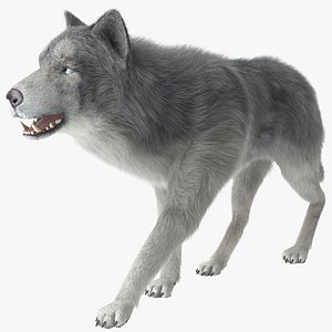max wolf 2 fur rigged