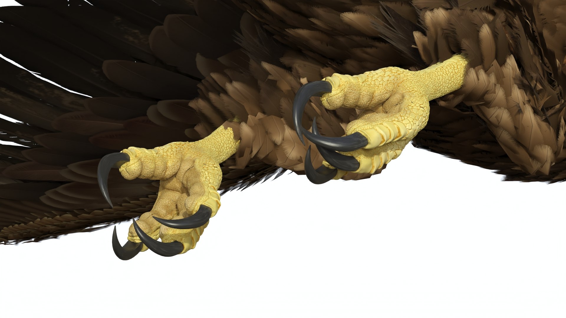 3D Realistic Flying Gurney Eagle https://p.turbosquid.com/ts-thumb/s5/PwhiyY/JV/realisticflyinggurneyeagle3dmodel011/jpg/1720041290/1920x1080/fit_q87/97e0dd8a1894a9ee91f0447963849cf350cf0d8a/realisticflyinggurneyeagle3dmodel011.jpg
