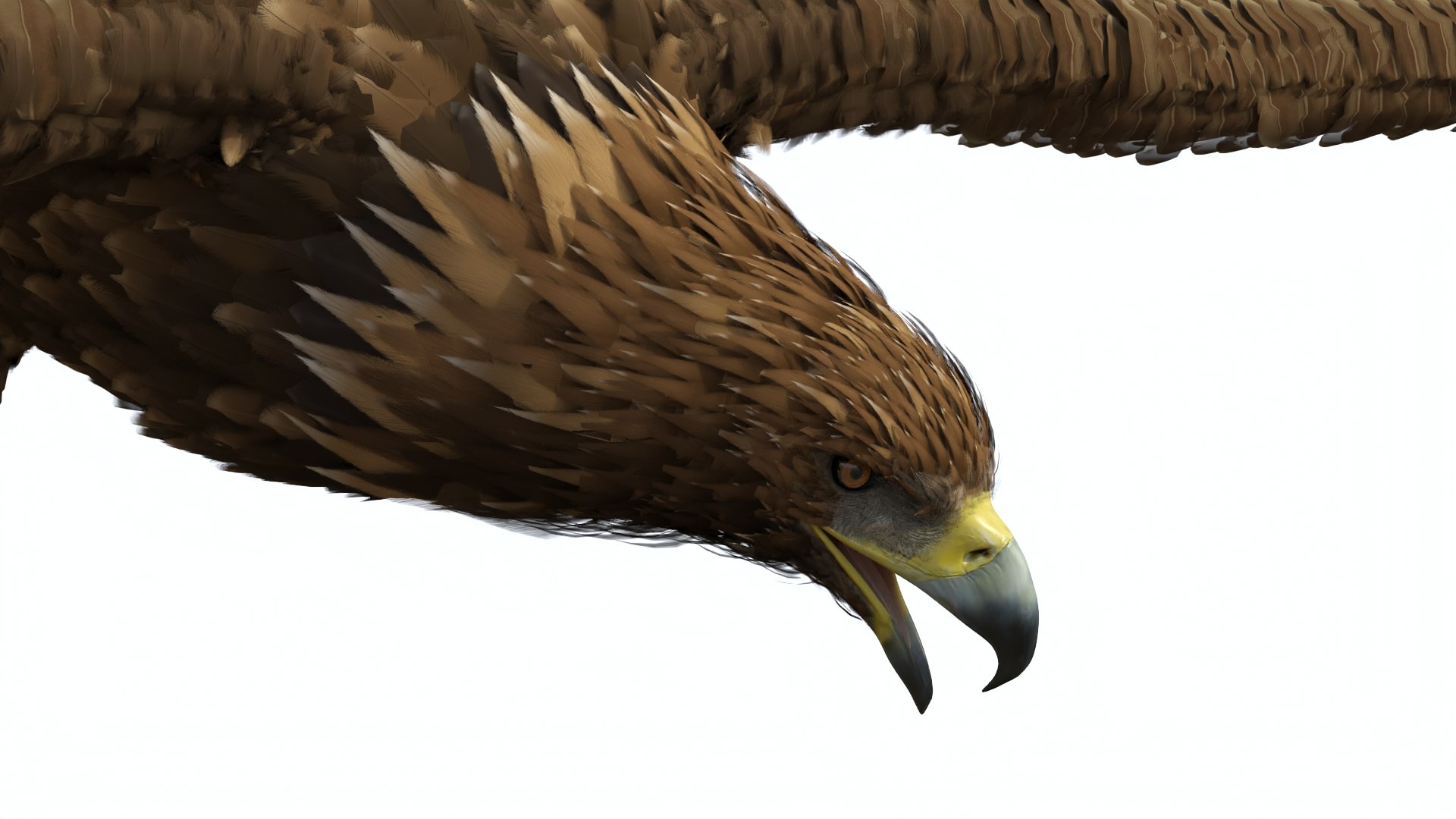 3D Realistic Flying Gurney Eagle https://p.turbosquid.com/ts-thumb/s5/PwhiyY/M0/realisticflyinggurneyeagle3dmodel009/jpg/1720041275/1920x1080/fit_q87/3a83d008e9236a5a7b199a0828c727659689a836/realisticflyinggurneyeagle3dmodel009.jpg