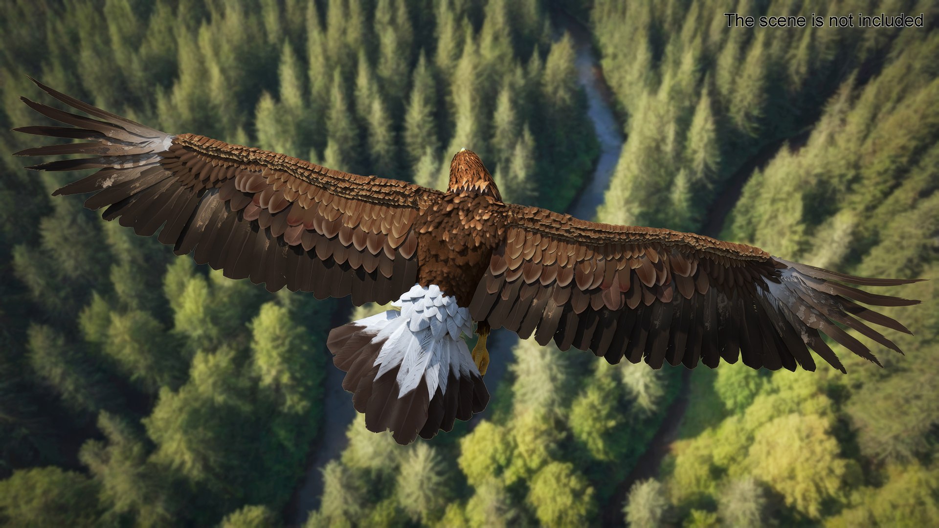 3D Realistic Flying Gurney Eagle https://p.turbosquid.com/ts-thumb/s5/PwhiyY/Tq/realisticflyinggurneyeagle3dmodel003/jpg/1720041249/1920x1080/fit_q87/0ac91ca988cc270900e1335702095d32e89381cd/realisticflyinggurneyeagle3dmodel003.jpg