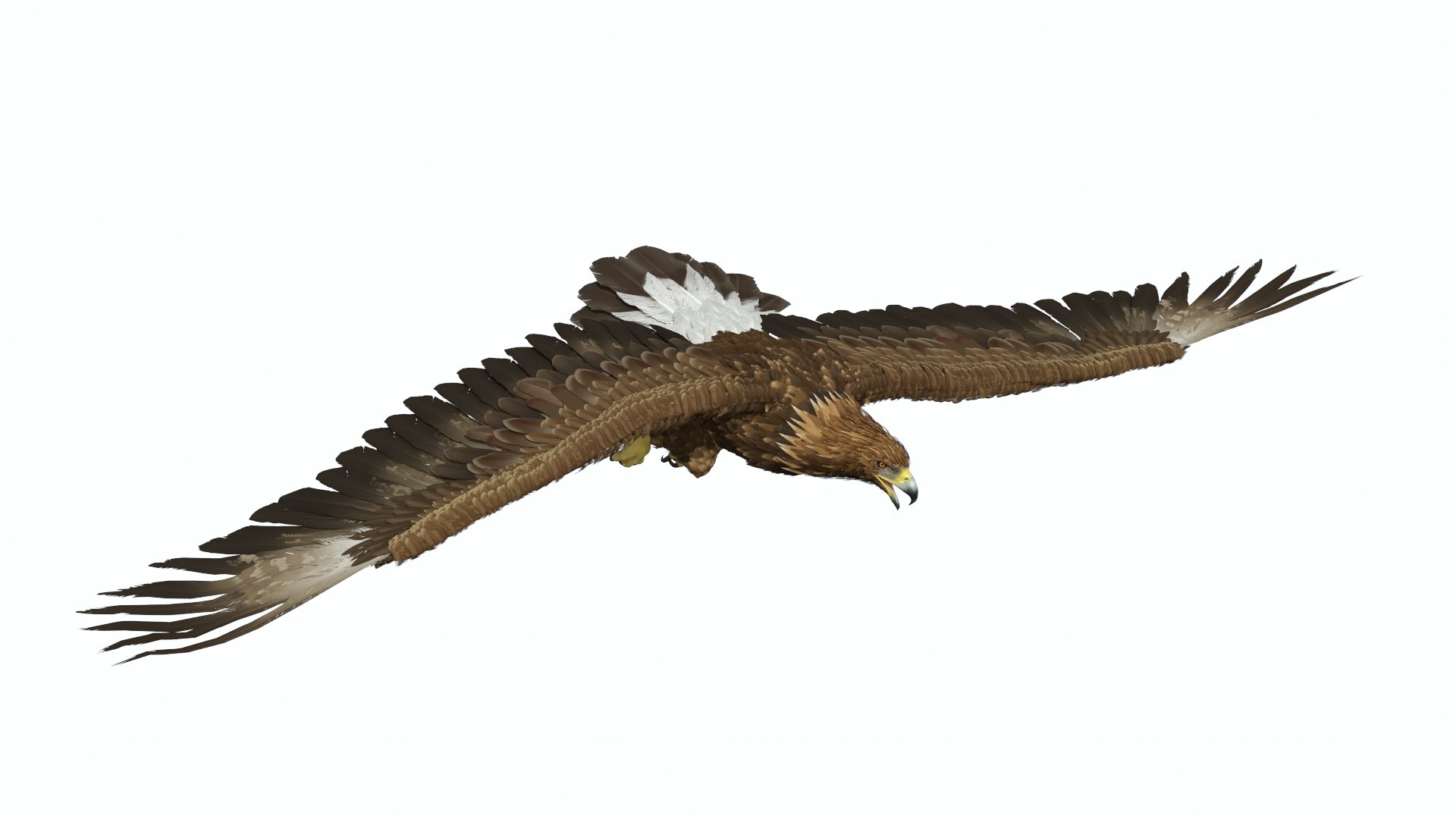 3D Realistic Flying Gurney Eagle https://p.turbosquid.com/ts-thumb/s5/PwhiyY/Vq/realisticflyinggurneyeagle3dmodel007/jpg/1720041262/1920x1080/fit_q87/6e2e310f4ff302b3f610459ec76acd70e6920226/realisticflyinggurneyeagle3dmodel007.jpg