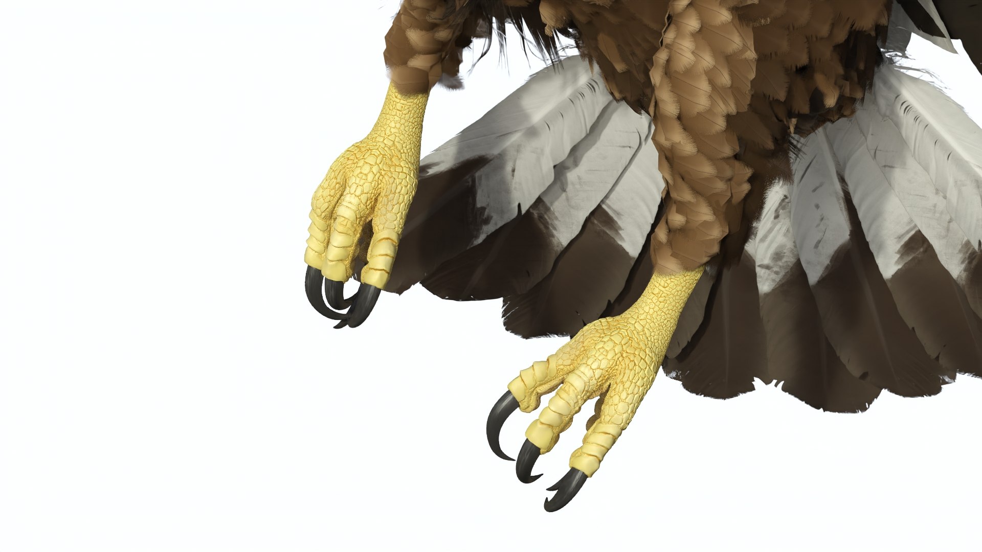 3D Realistic Flying Gurney Eagle https://p.turbosquid.com/ts-thumb/s5/PwhiyY/kN/realisticflyinggurneyeagle3dmodel012/jpg/1720041297/1920x1080/fit_q87/bf46a14b9efc713a2bc49545aa6160edad7ab8c3/realisticflyinggurneyeagle3dmodel012.jpg