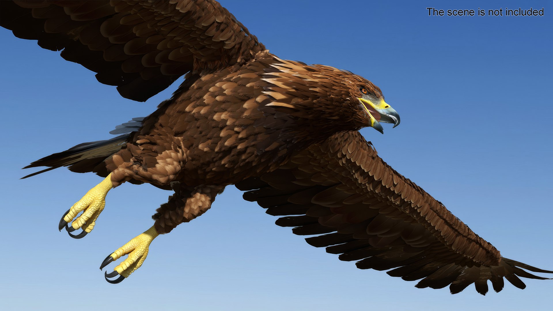 3D Realistic Flying Gurney Eagle https://p.turbosquid.com/ts-thumb/s5/PwhiyY/zb/realisticflyinggurneyeagle3dmodel004/jpg/1720041255/1920x1080/fit_q87/45cfe0114e9fd9a87ce562a04ec3c755b4376e16/realisticflyinggurneyeagle3dmodel004.jpg