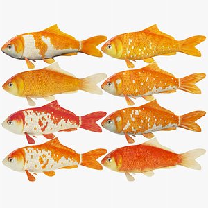 Fish_Collection_V2