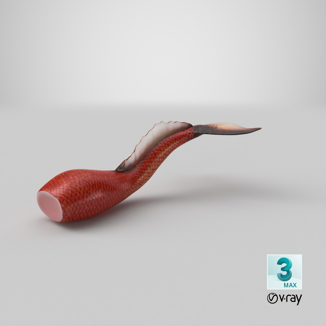 3D mermaid tail 01 swimming https://p.turbosquid.com/ts-thumb/s5/UsONws/0S5TmfUZ/stemcell_max_vray_render/png/1549566826/1920x1080/fit_q87/2f06e4ef7d94b1a8508aaf39fba846db2f6f339b/stemcell_max_vray_render.jpg