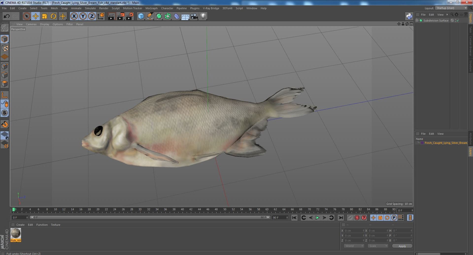 3D Fresh Caught Lying Silver Bream Fish model - TurboSquid 2158208