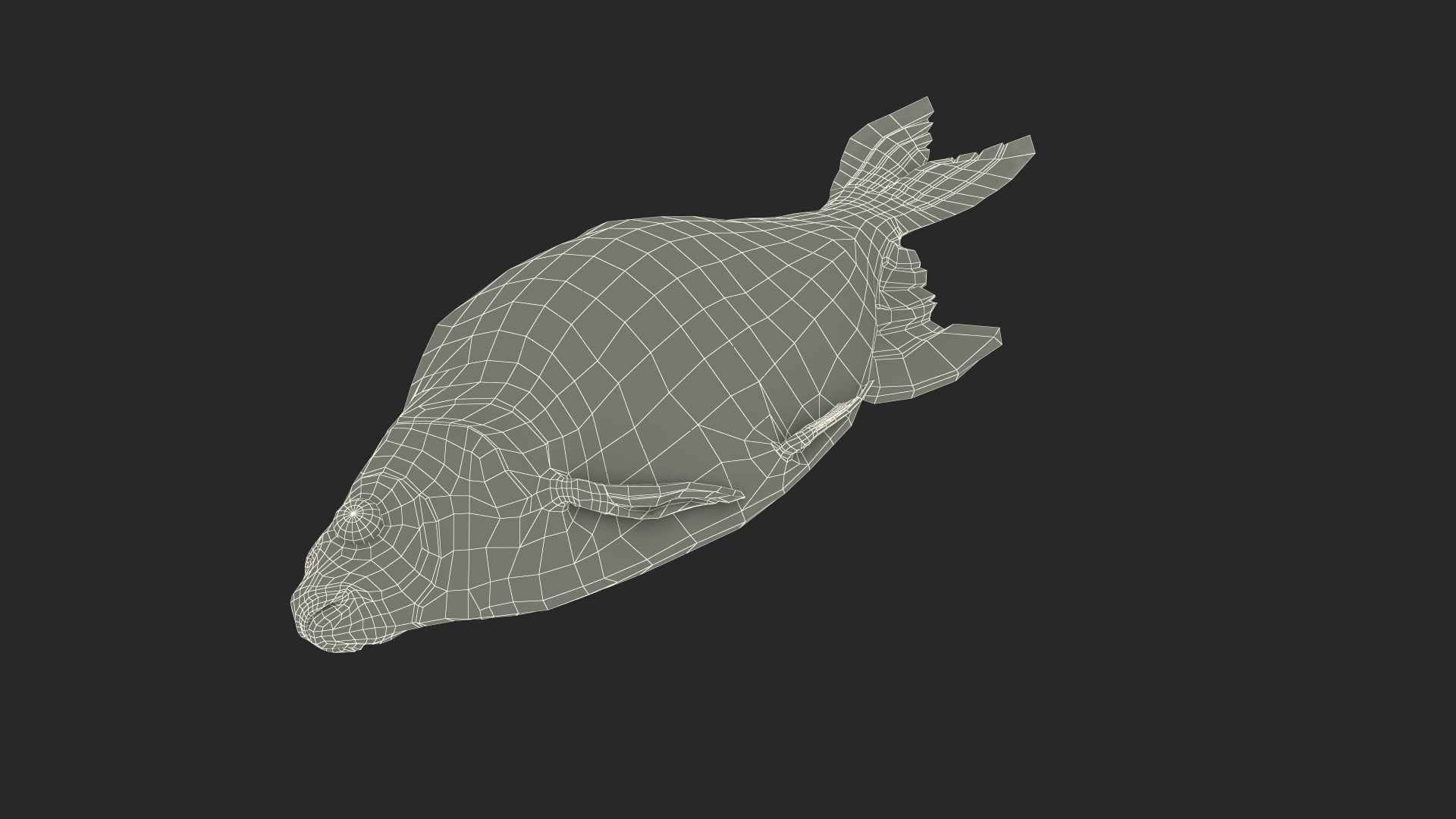 3D Fresh Caught Lying Silver Bream Fish model - TurboSquid 2158208