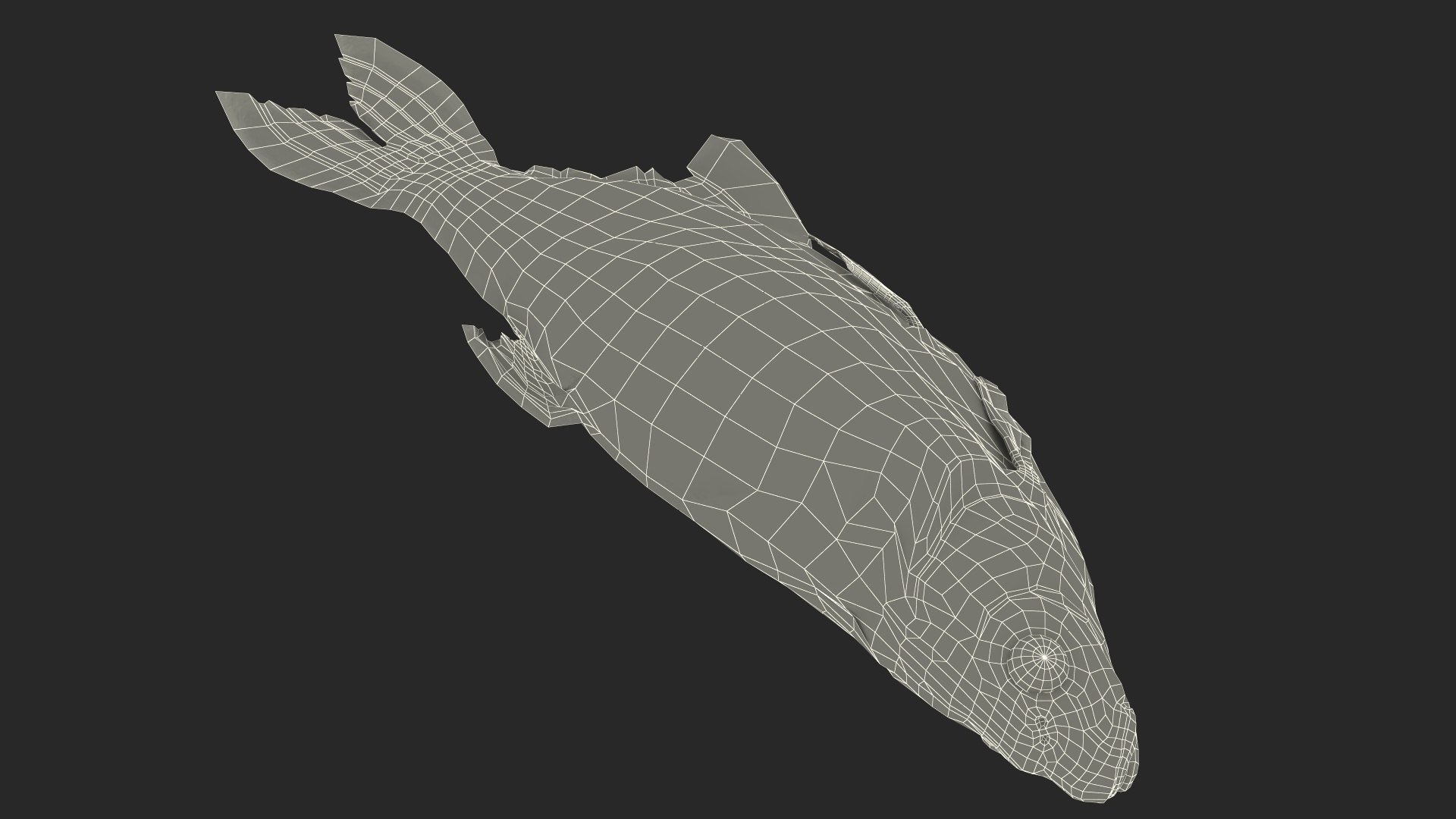3D Fresh Caught Lying Silver Bream Fish model - TurboSquid 2158208