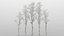 50 trees 3D model