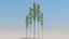 50 trees 3D model