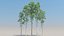 50 trees 3D model
