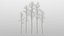 50 trees 3D model