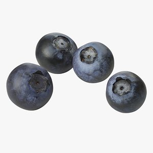Blueberries - 4 Variations 3D model