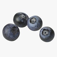 Blueberries - 4 Variations