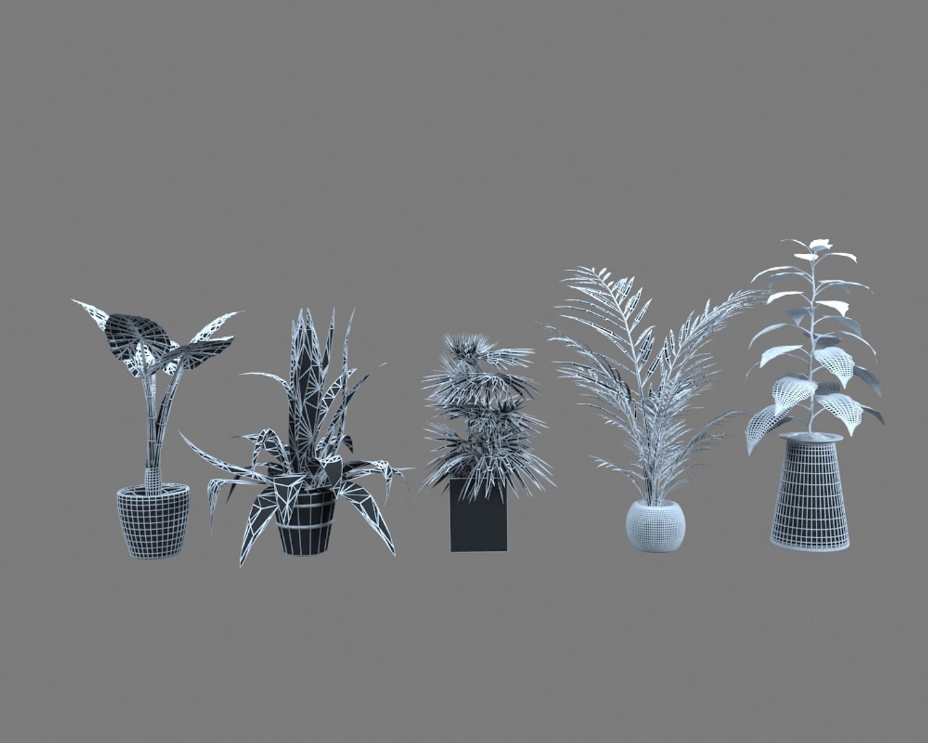 House plant 3D model - TurboSquid 1574920