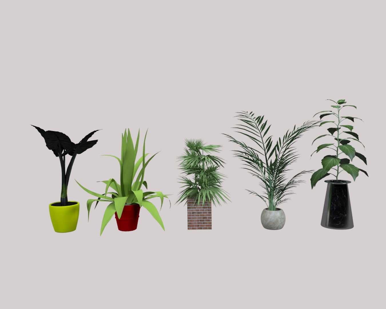 House plant 3D model - TurboSquid 1574920