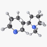 Nicotine Molecule