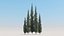 3D model conifer trees 40 summer